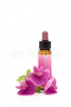 Cliquez sur l'image Fleurs de Bach pour la voir en grand - EDTH Concept - Fleurs de Bach