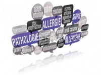 Cliquez sur l'image Systme immunitaire boost pour la voir en grand - EDTH Concept - Systme immunitaire boost